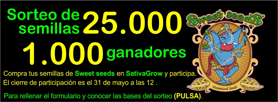 Sorteo sweet seeds